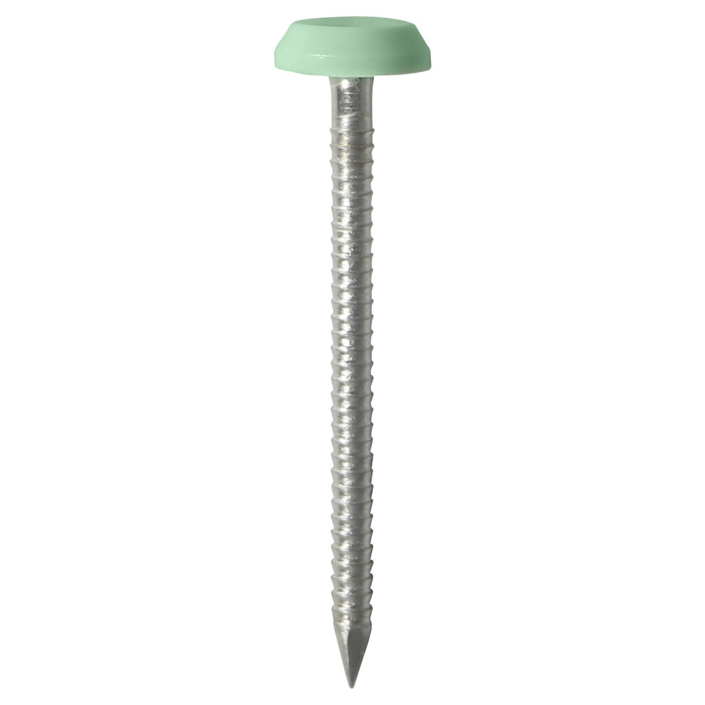 TIMco Polymer Headed Nails - Stainless Steel - Chartwell Green (50mm) 100 Box