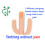 (Pink) Baby Silicone Colourful Cactus Shaped Toothbrush 4