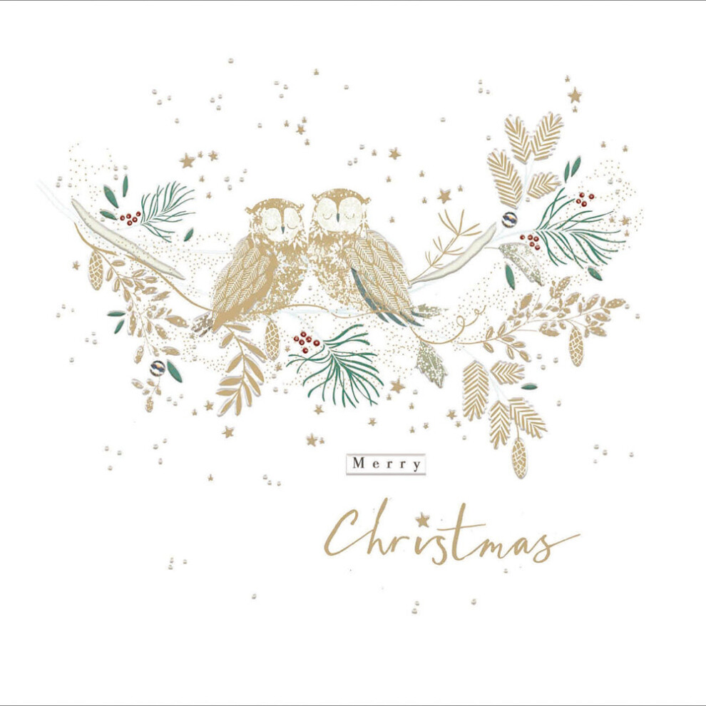 Merry Christmas Festive Gold Foiled Owls Christmas Card Xmas Greeting Cards