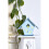 Artemio Birdhouse 3