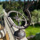 Selections Cast Iron Garden Sundial 5
