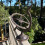 Selections Cast Iron Garden Sundial 7