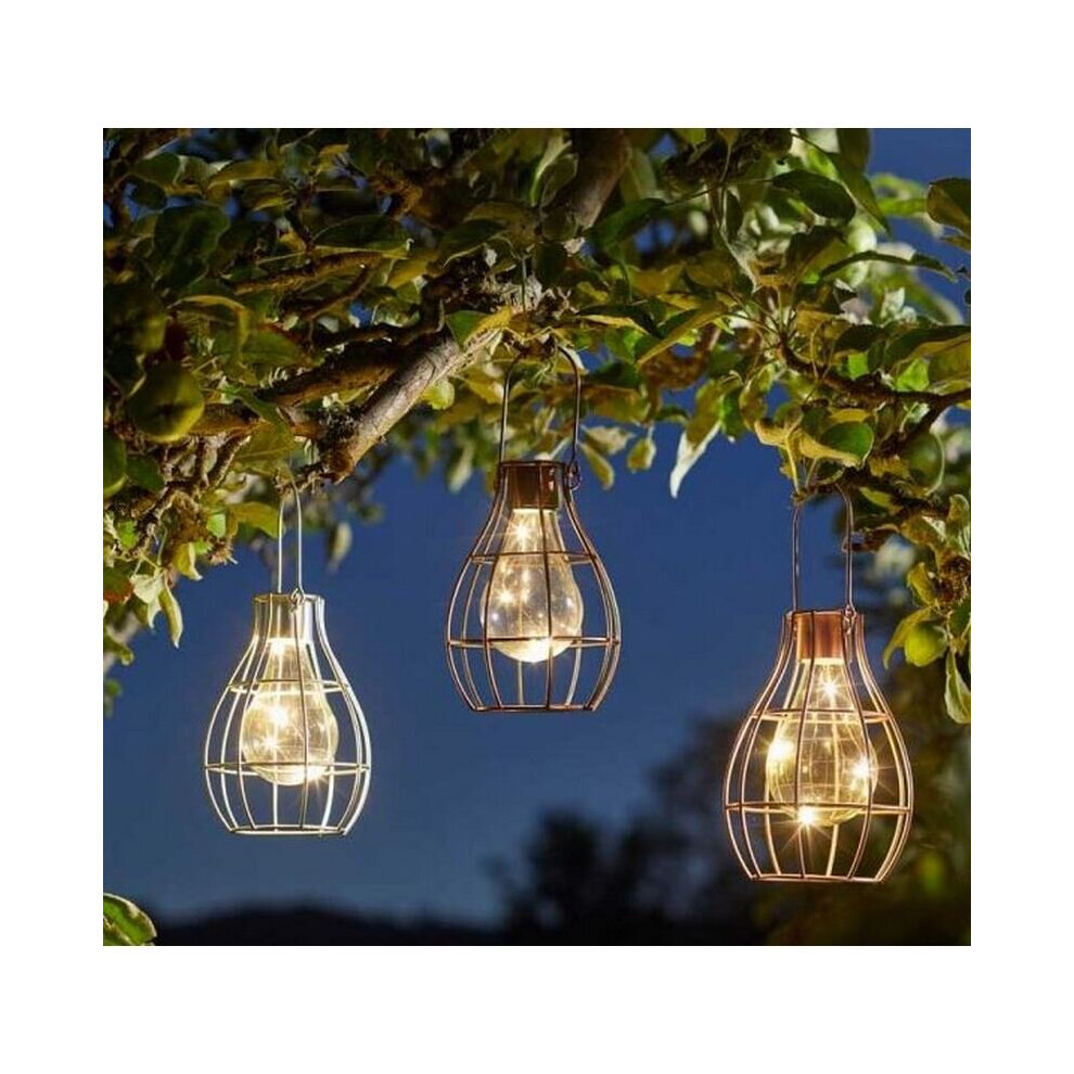 Smart Garden Eureka! Firefly Lantern -, Rose Copper (1 Suppiled) Silver/Gold
