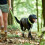 Hunter HUNTER Adjustable leash Hilo 20/200 mesh, lime 2