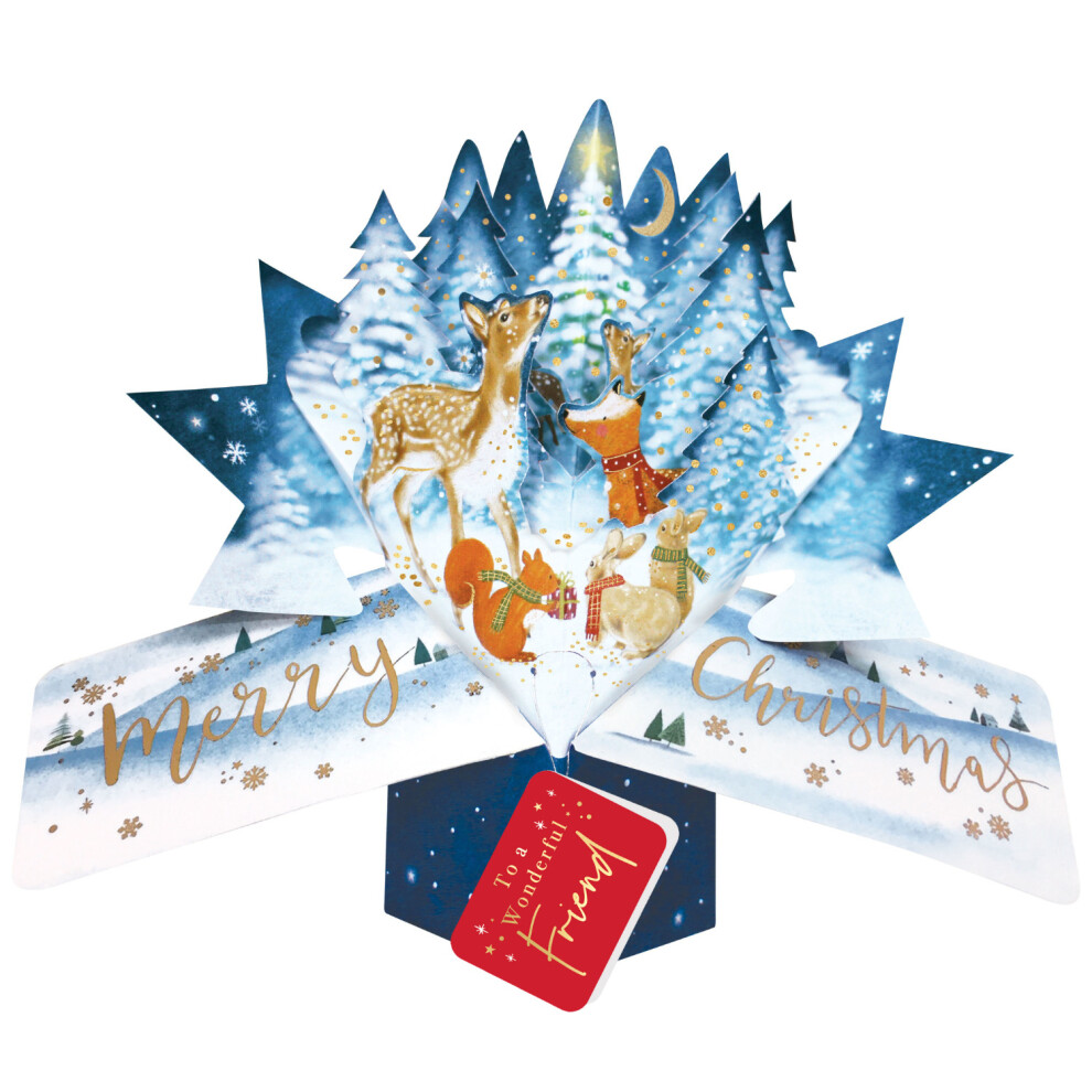 Second Nature Friend Christmas Card 3D Woodland Animals Pop Up Christmas Card Xmas Cards