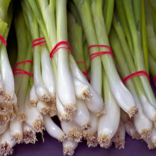 ONION White Lisbon (Spring Onion) AGM Awarded, Silvery White Skin, Crisp Mild Flavor, Ideal for Pots, Hardy & Over-Wintering, 275 Seeds SPB-6268