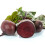 BEETROOT Boltardy. Classic, round beetroot. 1