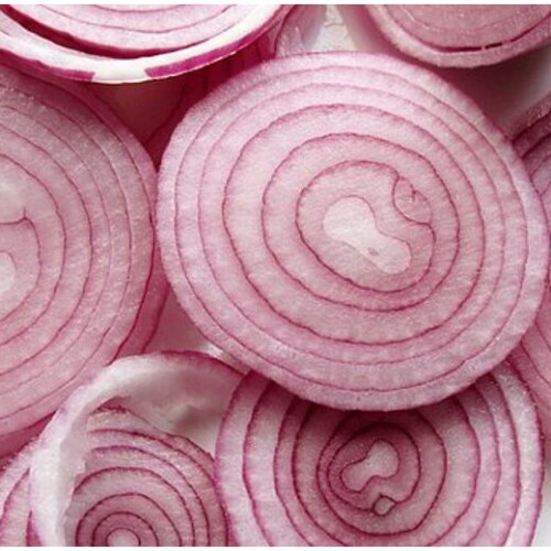 Onion RED BRUNSWICK. Tried and Tested. 2