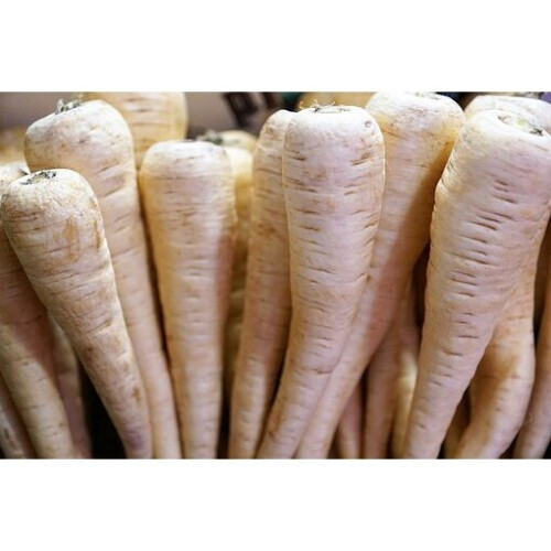 PARSNIP White Gem. Excellent sweet flavour.