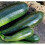 Courgette Black Beauty. Heavy cropper 4