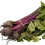 BEETROOT Boltardy. Classic, round beetroot. 3