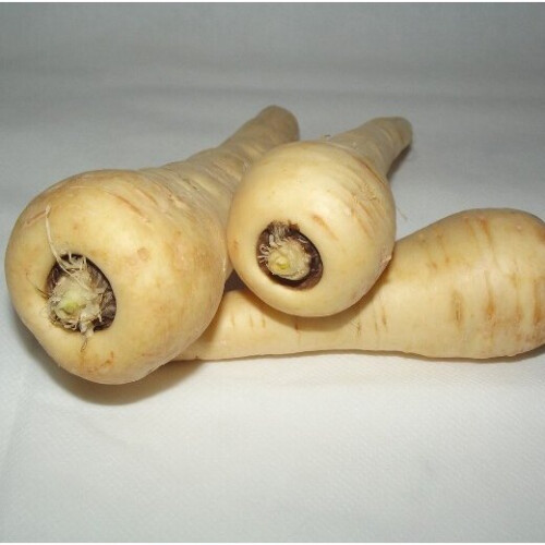 PARSNIP White Gem. Excellent sweet flavour. 1