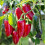 Chilli Jalapeno. The Pizza Pepper. 2