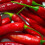 Chilli Pepper CAYENNE. 3