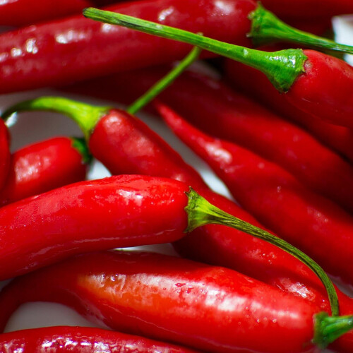 Chilli Pepper CAYENNE. 2