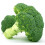 BROCCOLI Autumn Calabrese. 3