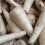 PARSNIP White Gem. Excellent sweet flavour. 3
