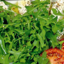 Wild ROCKET. Very useful salad plant