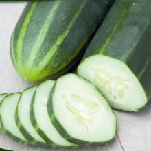 CUCUMBER Marketmore. A heavy cropping variety.