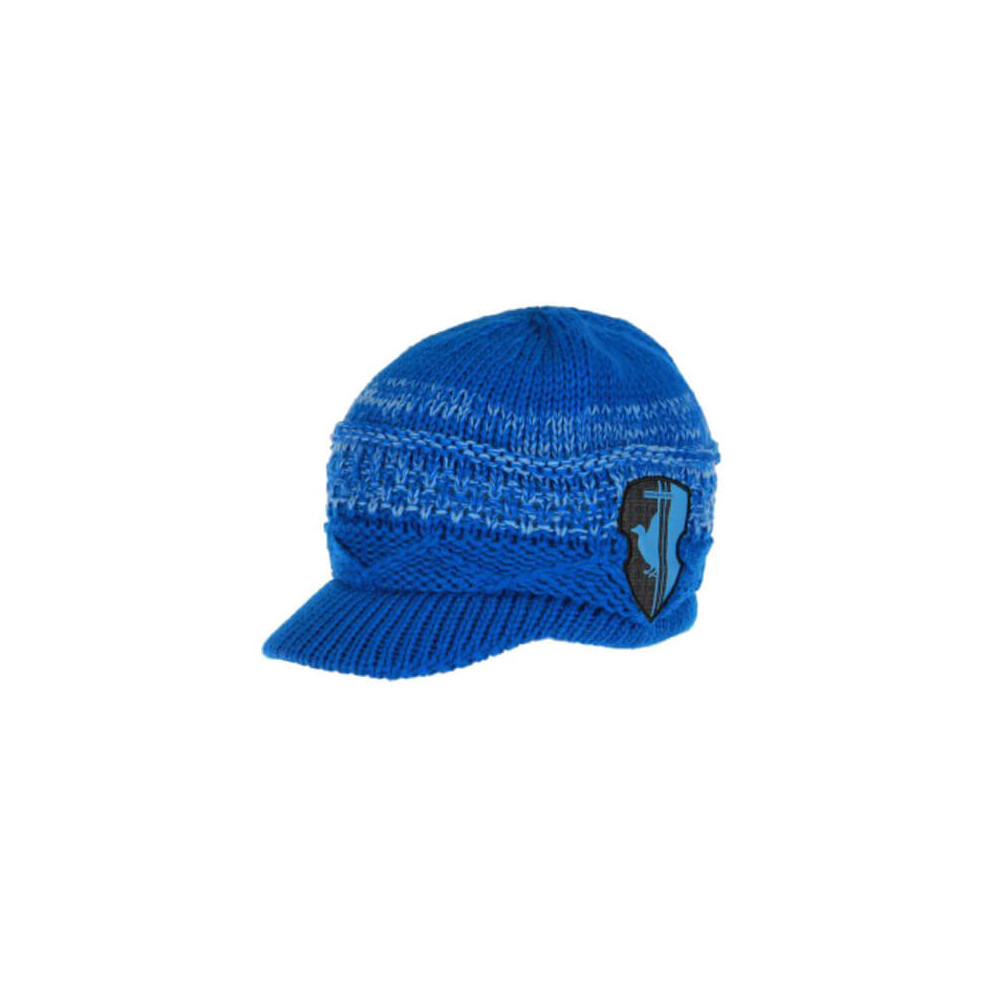 Harry Potter Knit Brim Cap (Ravenclaw)