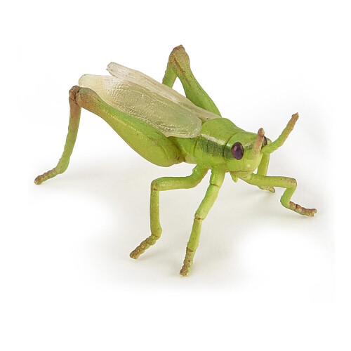 Figurina Gafanhoto