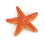 Estatueta estrela do mar 1