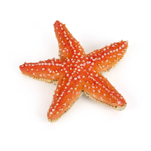 Estatueta estrela do mar