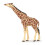 Papo - Estatueta Girafa cabeça erguida 1