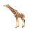 Papo - Estatueta Girafa cabeça erguida 7