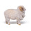 Papo - Estatueta Ovelha merino 5