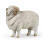 Papo - Estatueta Ovelha merino 1