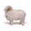 Papo - Estatueta Ovelha merino 7