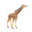 Papo - Estatueta Girafa cabeça erguida 4