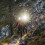 (Grey) NEO9R Running Head Torch with Chest Strap 11