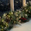 (Green) The Christmas Workshop 480 Micro LED Cluster Lights 12