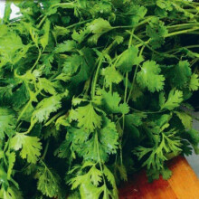 CORIANDER. Spicy with a fresh taste.