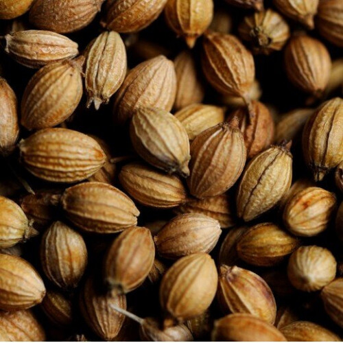 CORIANDER. Spicy with a fresh taste. 2