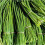 CHIVES. A very popular herb. 2
