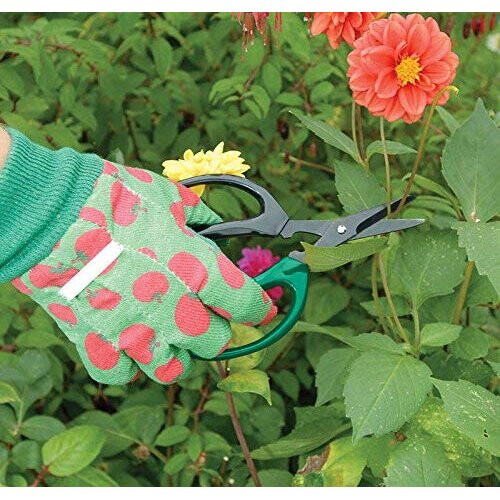 Draper Draper 18299 Garden Scissors, Precision Pruning Floristry, Pack of 2 2