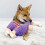 KONG KONG Company 38748544: Sherps Dog Toy Donkey Md 2
