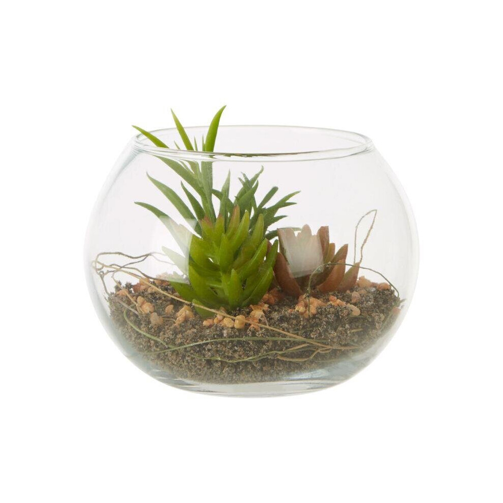 Premier Housewares Fiori Mixed Succulent In Small Glass Pot