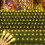 (Warm white) 3X2M LED Net Mesh String Light Christmas Fairy Light 2