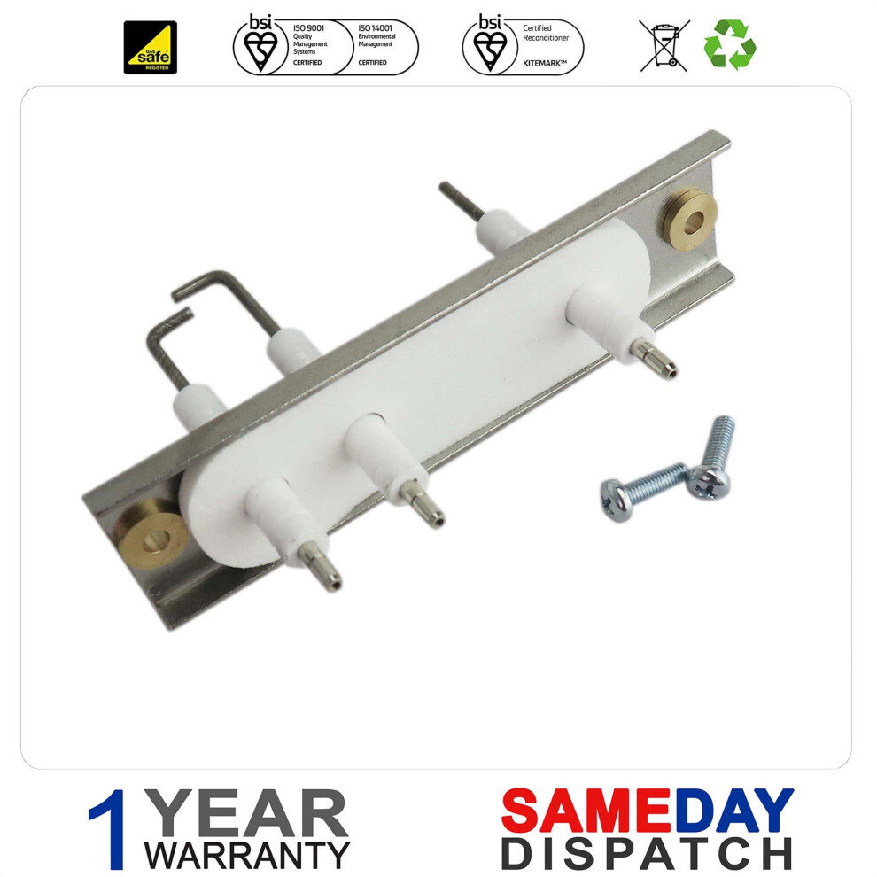 Photos - Fireplace Accessory HTS Worcester Greenstar Conventional Electrode Kit 87186643010 87181070890 