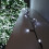 Premier Christmas 100 Battery Timer LED Lights Indoor or Outdoor -  White 1