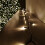 Premier 480 LED 38.3m Premier Christmas Outdoor Multi Function Timer Lights Warm White 1
