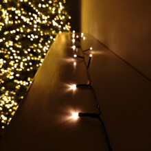 50 LED 5m Premier Battery 8 Function Outdoor Smart Timer Lights Vintage Gold