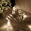 Premier Premier 12.4m Multi Action 960 Warm White LED Cluster Christmas Lights with Timer 1