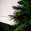 Premier 400 LED 40m Premier Battery 8 Function Outdoor Smart Timer Lights Multi Coloured 6