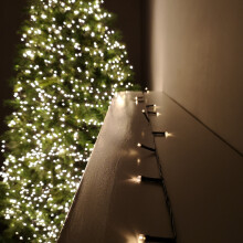 Christmas 50 Battery Timer LED Lights Indoor or Outdoor - Warm White