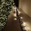 Premier 1500 LED (37.5m) Premier TreeBrights Christmas Tree Lights & TIMER in Warm White 1